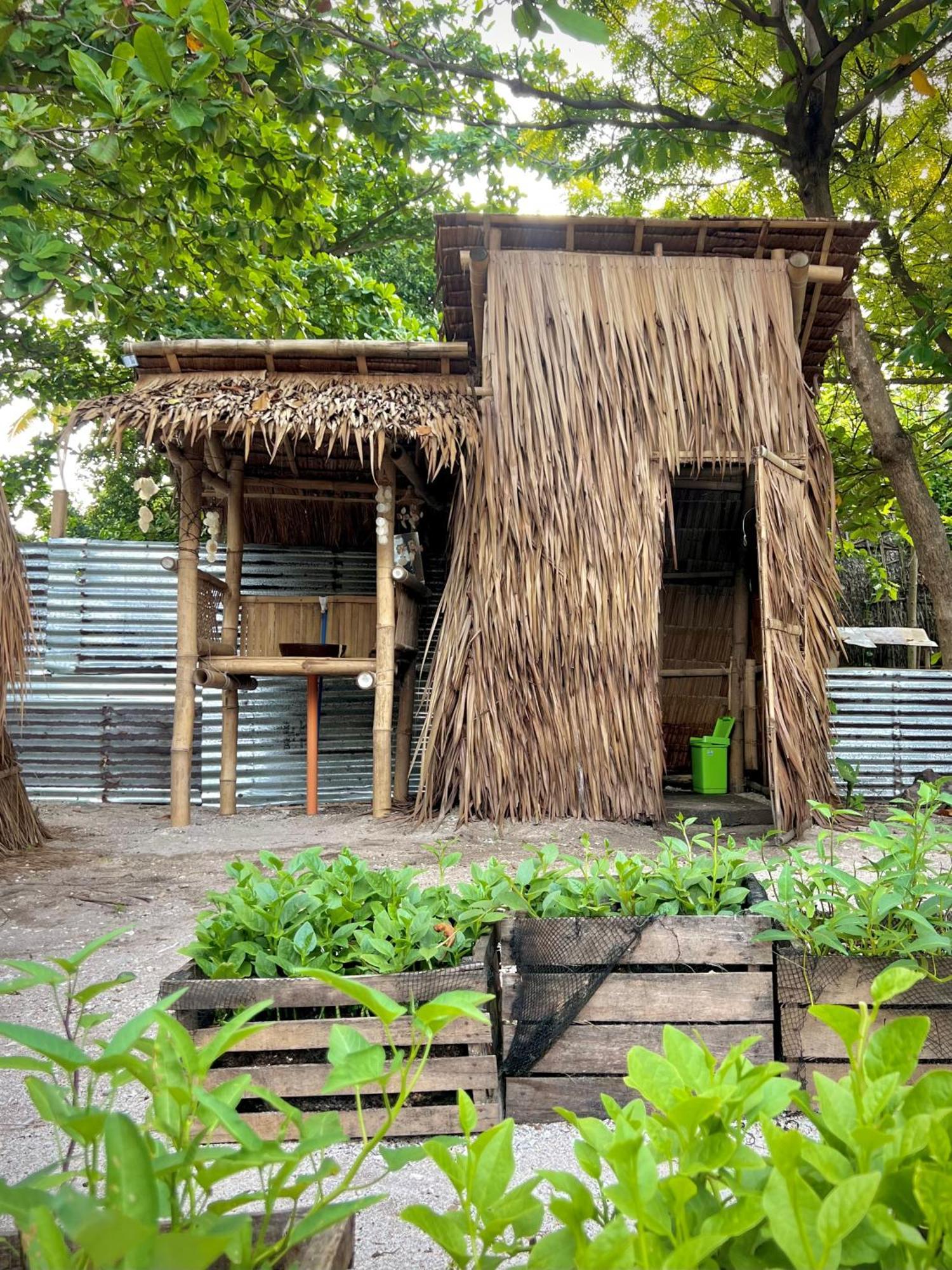 Tribal Huts Community Hostel Daanbantayan Room photo